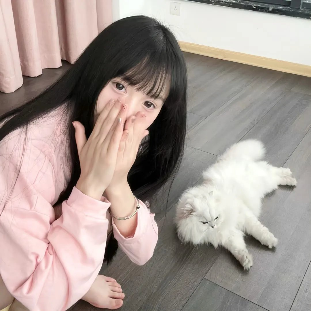 猎狐