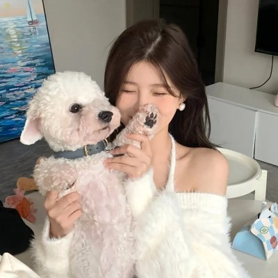 女侦探与辣手摧花：巴黎连环杀人案